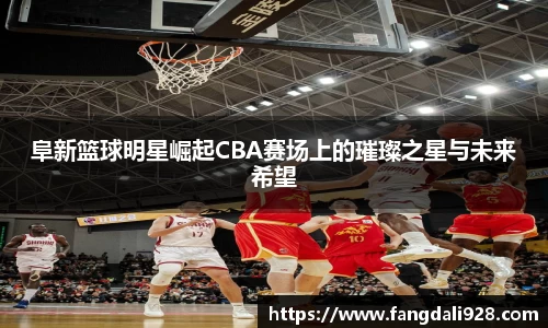阜新篮球明星崛起CBA赛场上的璀璨之星与未来希望
